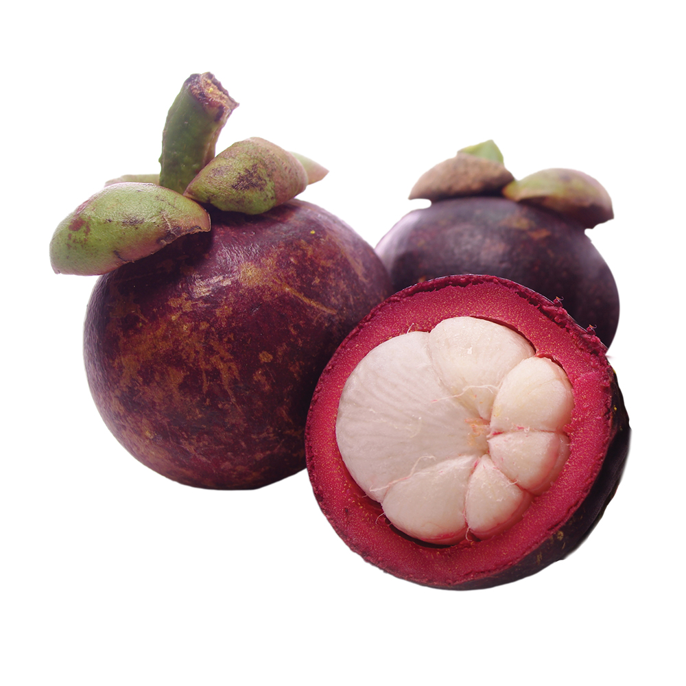mangosteen
